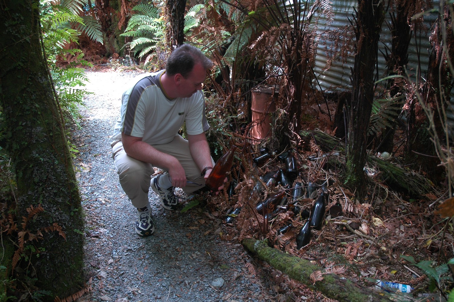 093   24 01   Greymouth   Fox Glacier